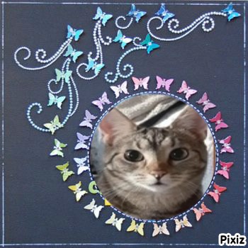 TuckersMom uploaded   4  day/s  ago