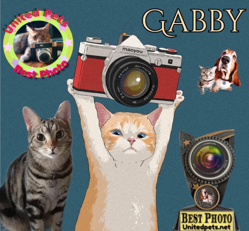 TuckersMom uploaded   4  day/s  ago