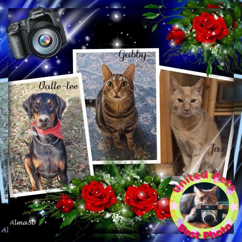 TuckersMom uploaded   98  day/s  ago