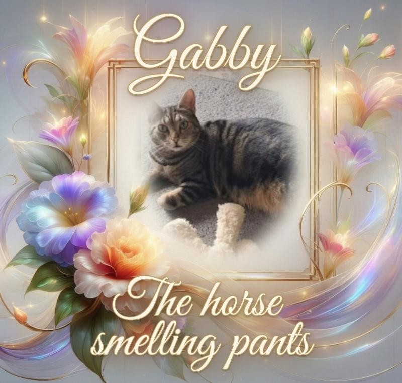 Gabby of the TuckersMom family