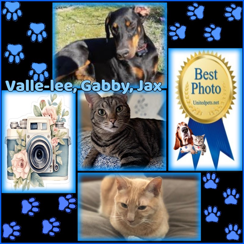 TuckersMom uploaded   98  day/s  ago