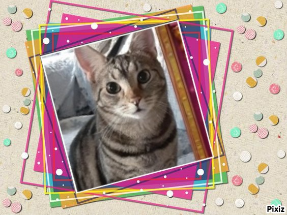 TuckersMom uploaded   4  day/s  ago