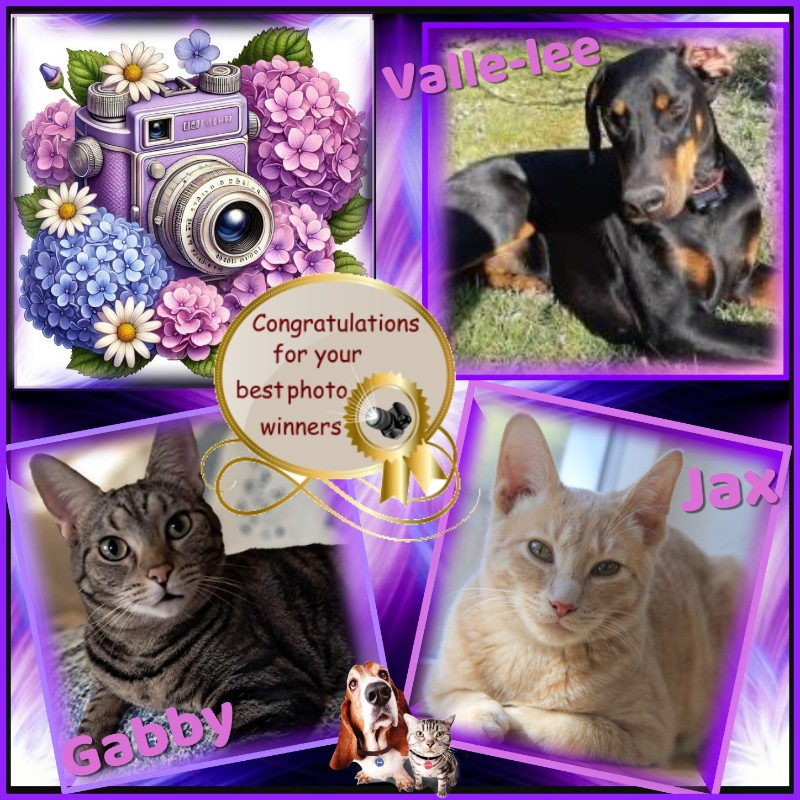 TuckersMom uploaded   98  day/s  ago