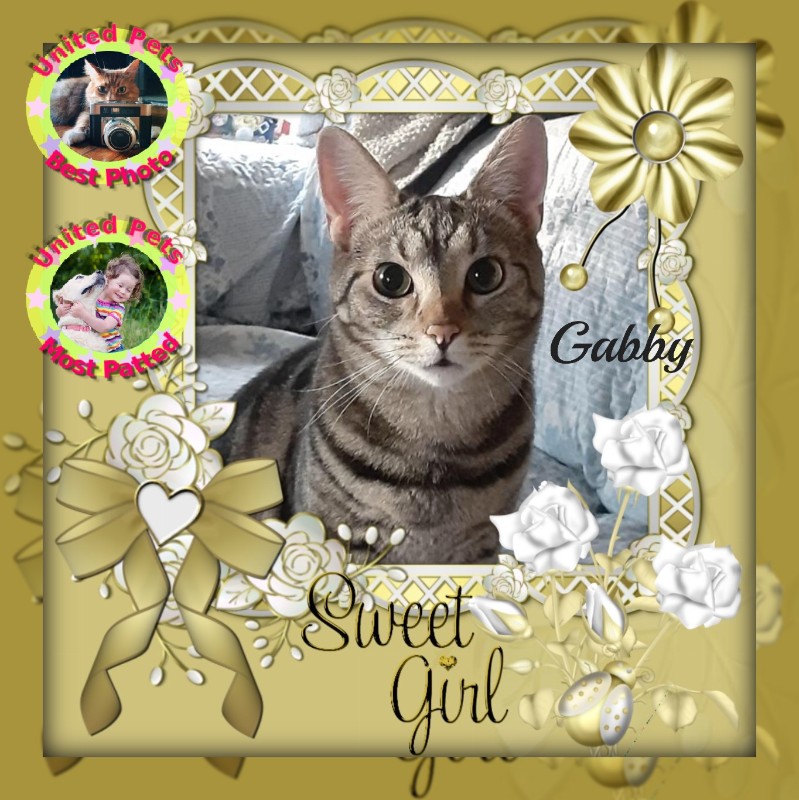 TuckersMom uploaded   4  day/s  ago