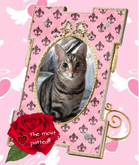 TuckersMom uploaded   4  day/s  ago