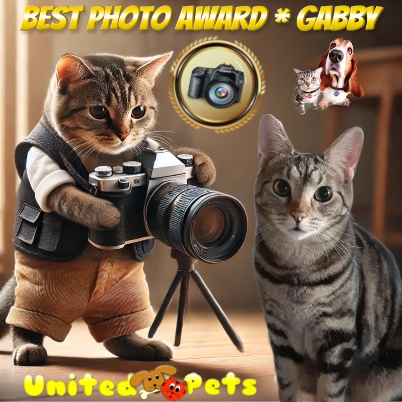 TuckersMom uploaded   4  day/s  ago