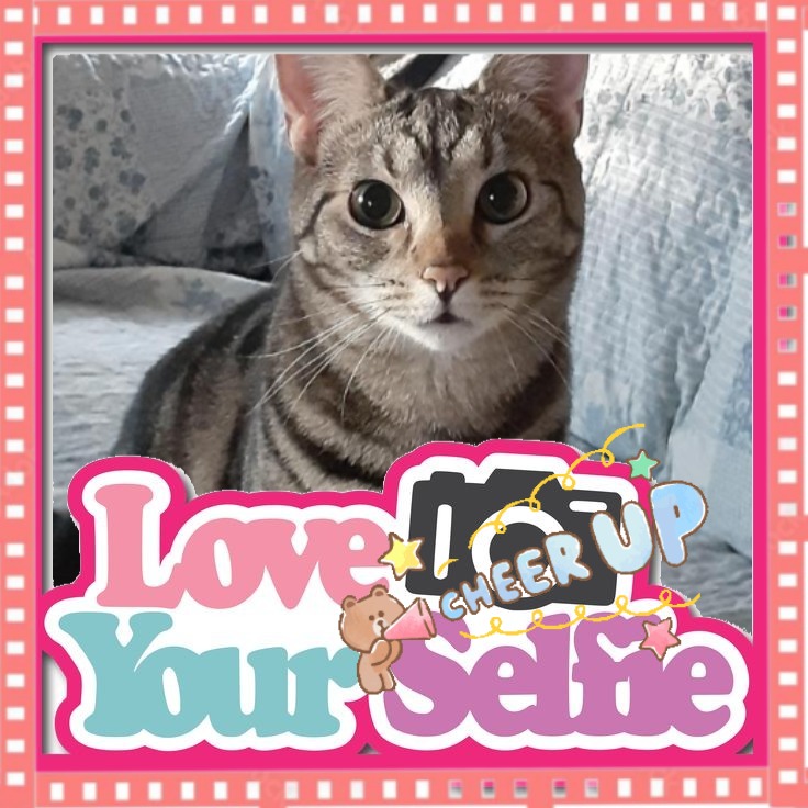 TuckersMom uploaded   4  day/s  ago