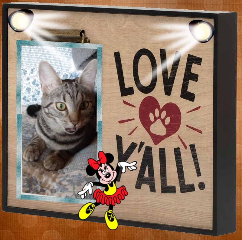 TuckersMom uploaded   41  day/s  ago