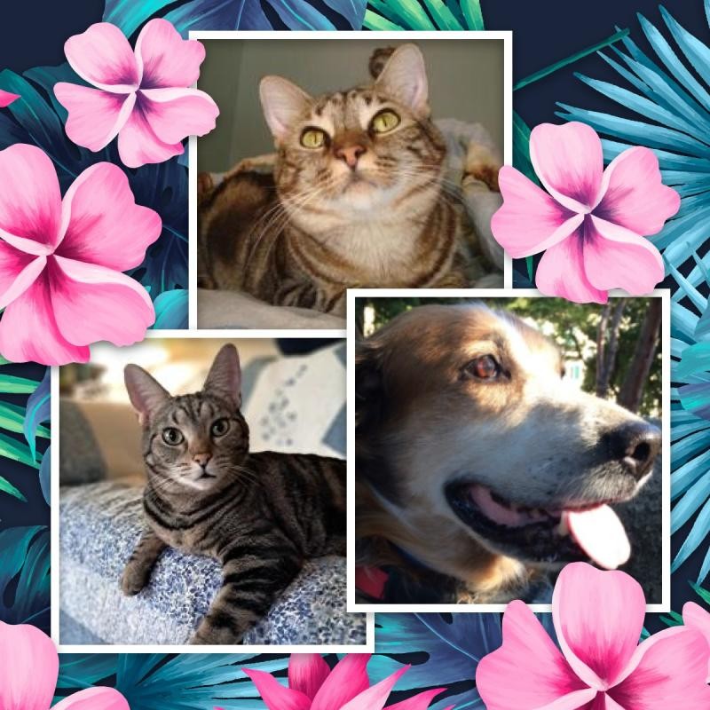 TuckersMom uploaded   81  day/s  ago