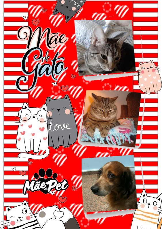 TuckersMom uploaded   81  day/s  ago