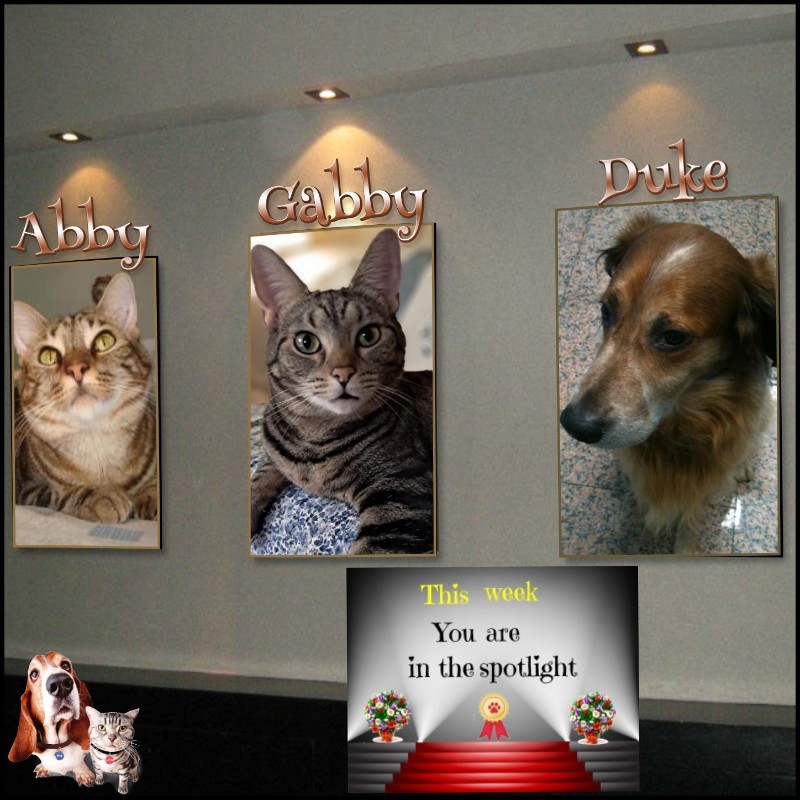 TuckersMom uploaded   41  day/s  ago