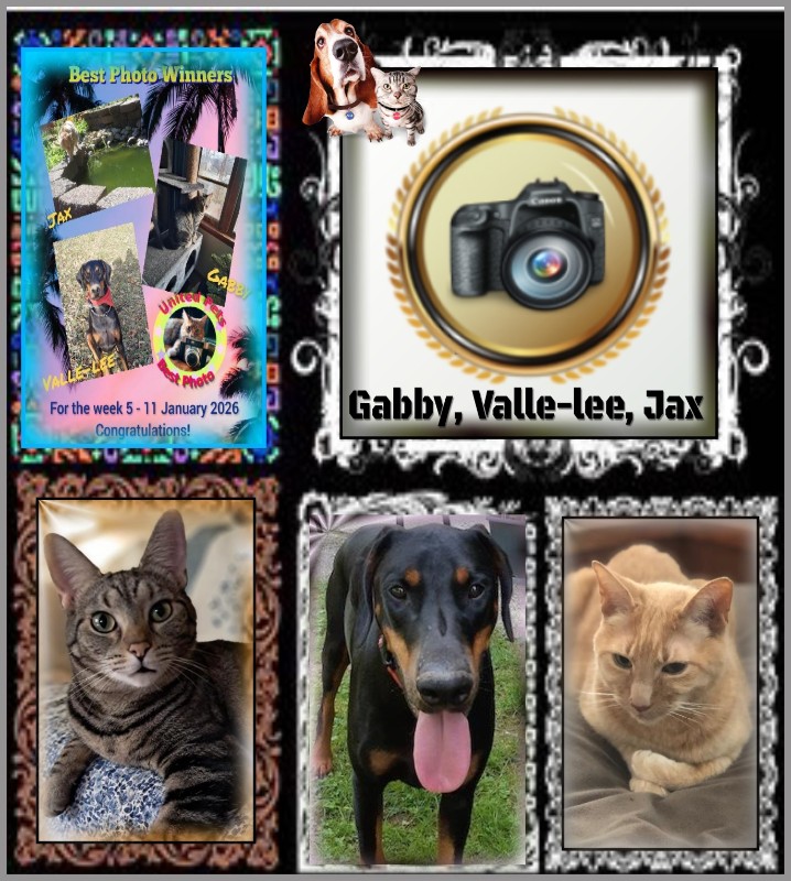 TuckersMom uploaded   98  day/s  ago