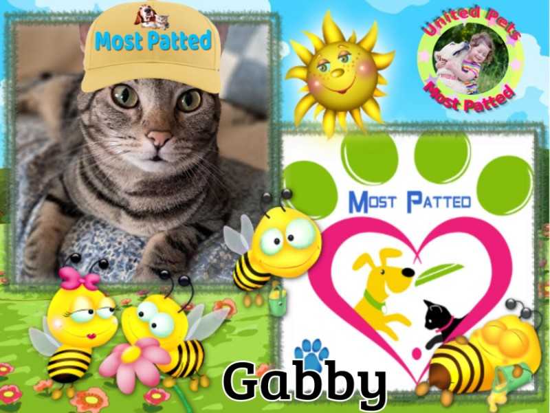 TuckersMom uploaded   4  day/s  ago