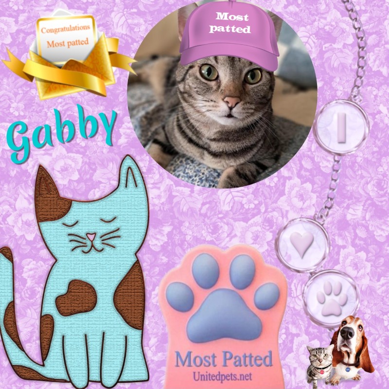 TuckersMom uploaded   4  day/s  ago