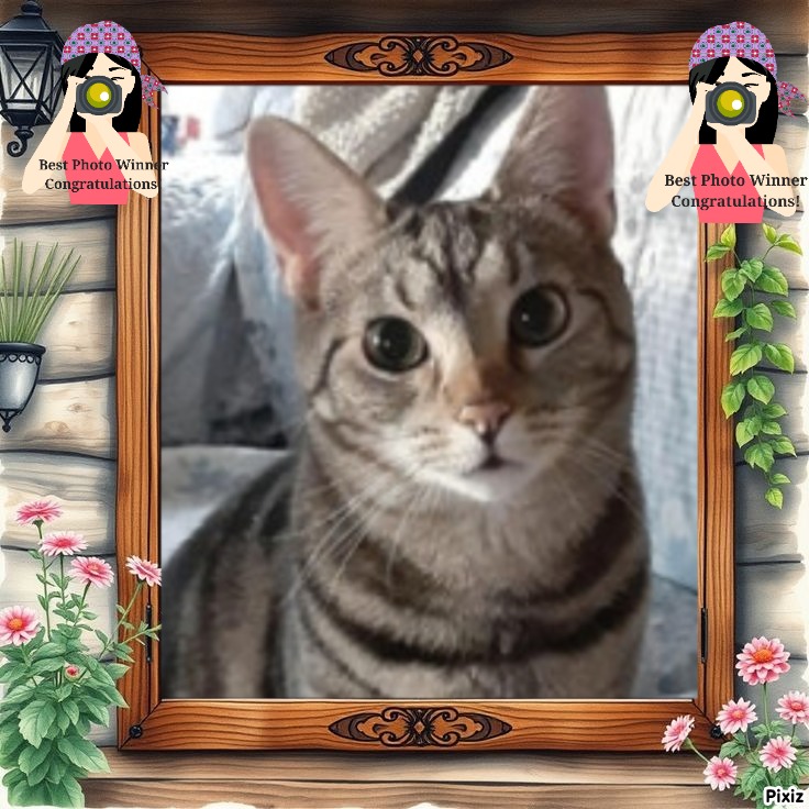 TuckersMom uploaded   4  day/s  ago