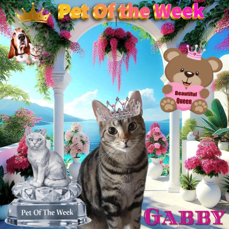 Gabby of the TuckersMom family
