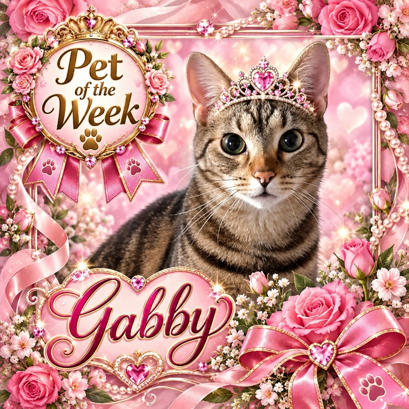 Gabby of the TuckersMom family
