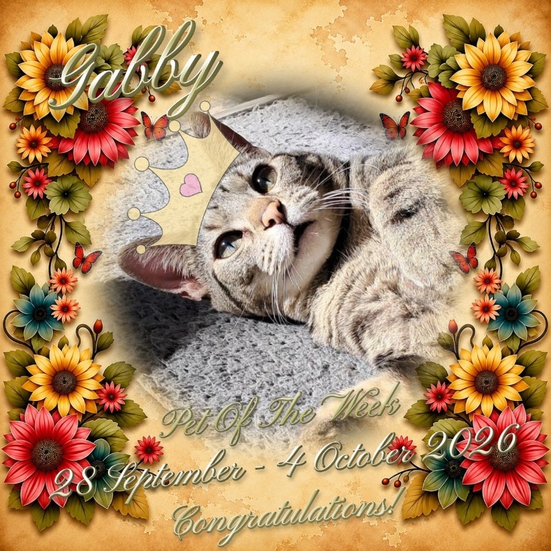Gabby of the TuckersMom family