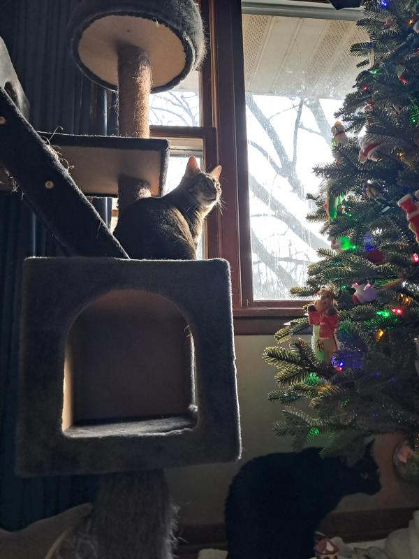 TuckersMom uploaded   10  day/s  ago