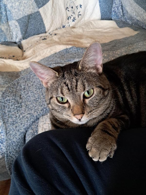 TuckersMom uploaded   83  day/s  ago