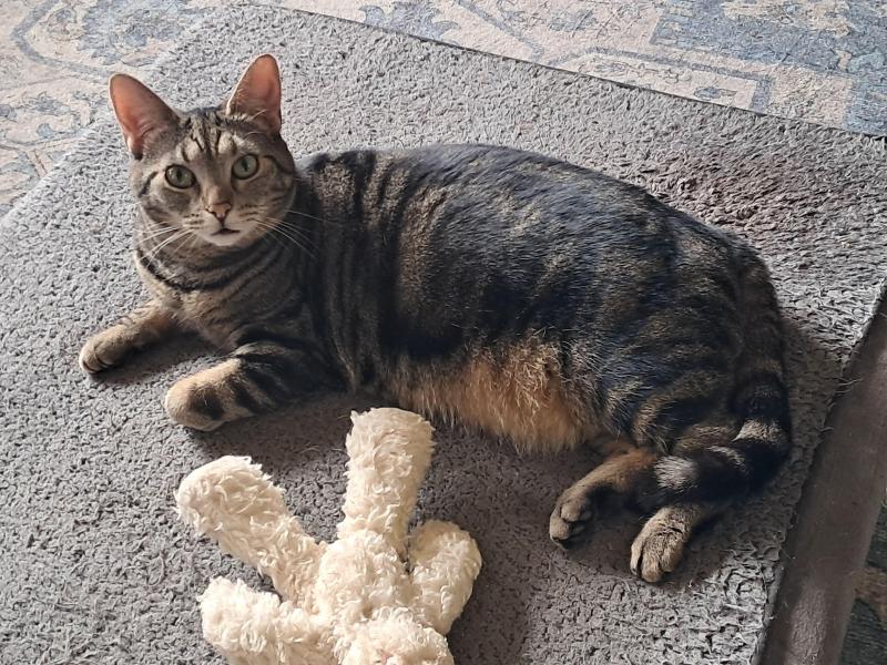 Gabby of the TuckersMom family