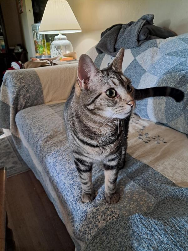 Gabby of the TuckersMom family