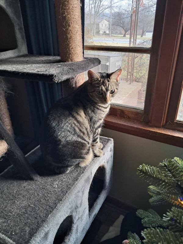 TuckersMom uploaded   10  day/s  ago