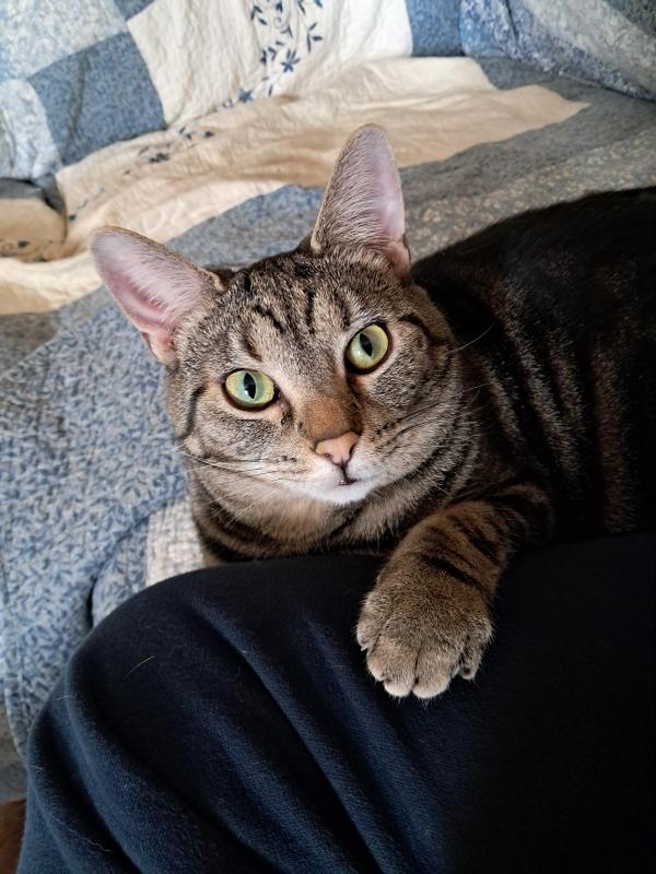 TuckersMom uploaded   83  day/s  ago