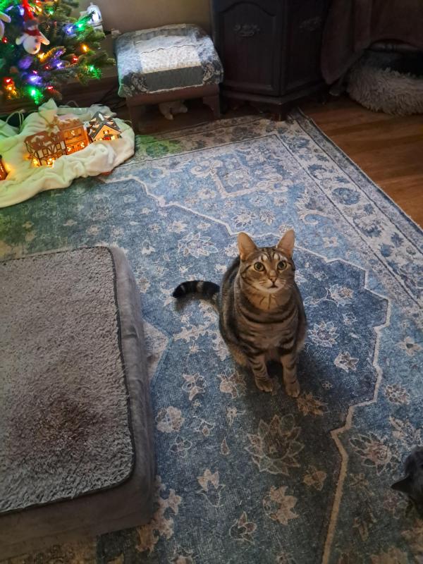 TuckersMom uploaded   1  day/s  ago