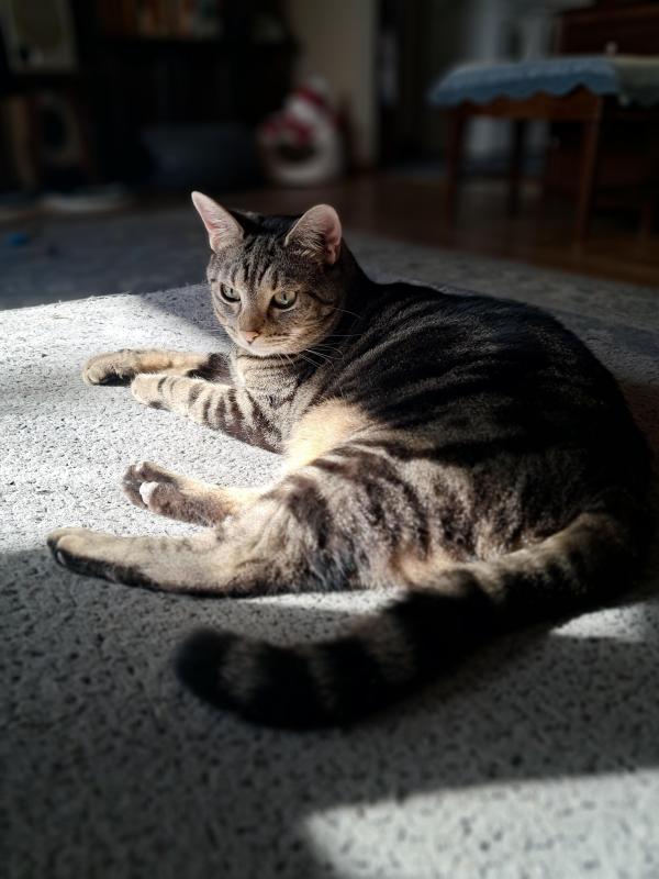 TuckersMom uploaded   11  day/s  ago