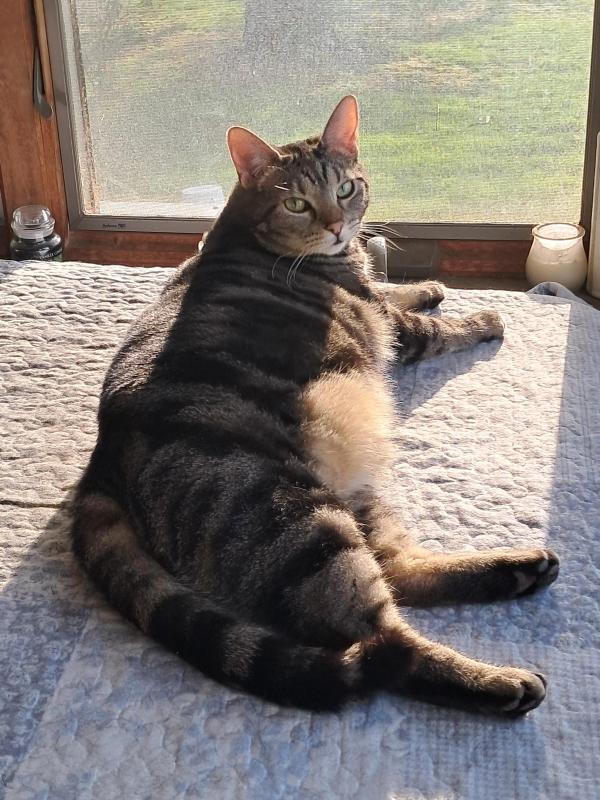 Gabby of the TuckersMom family