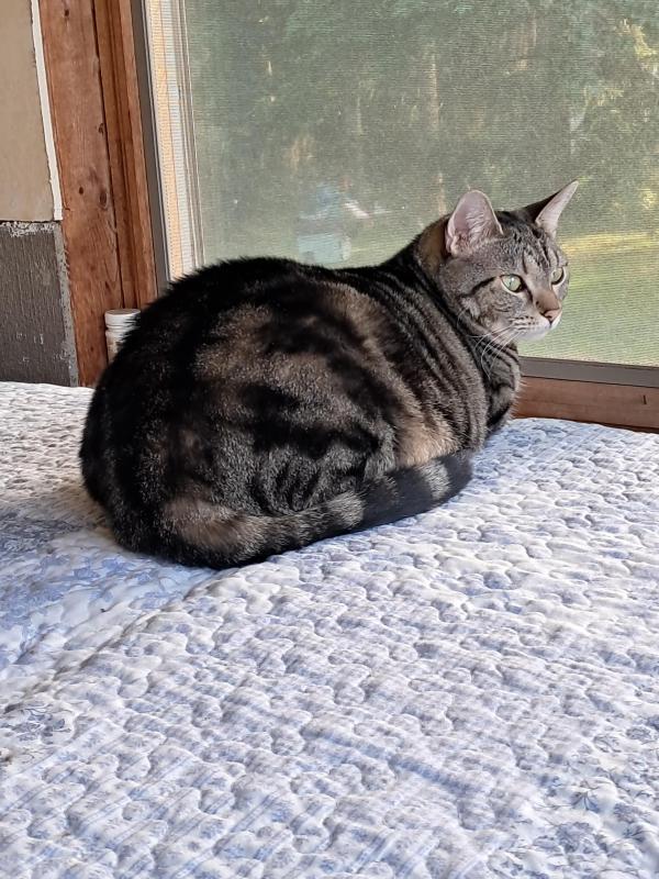 Gabby of the TuckersMom family