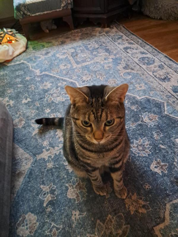 TuckersMom uploaded   1  day/s  ago