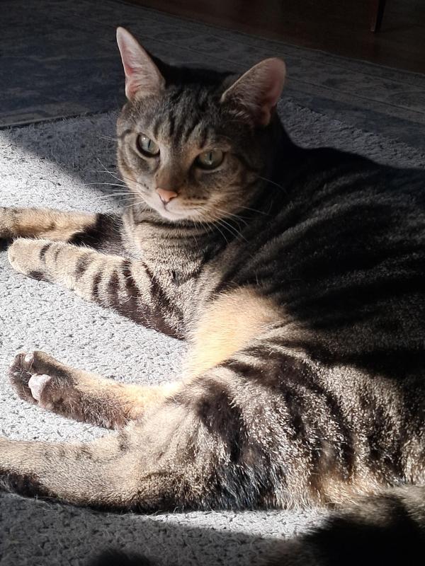 TuckersMom uploaded   11  day/s  ago