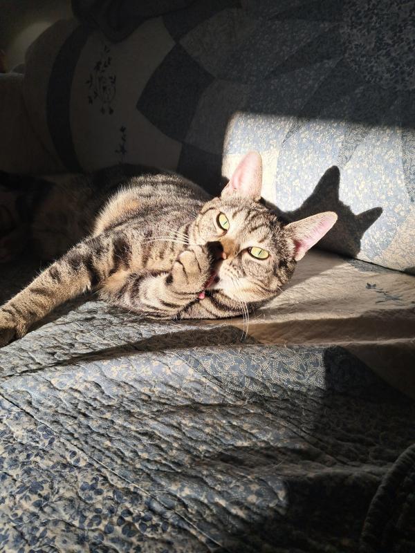 Gabby of the TuckersMom family