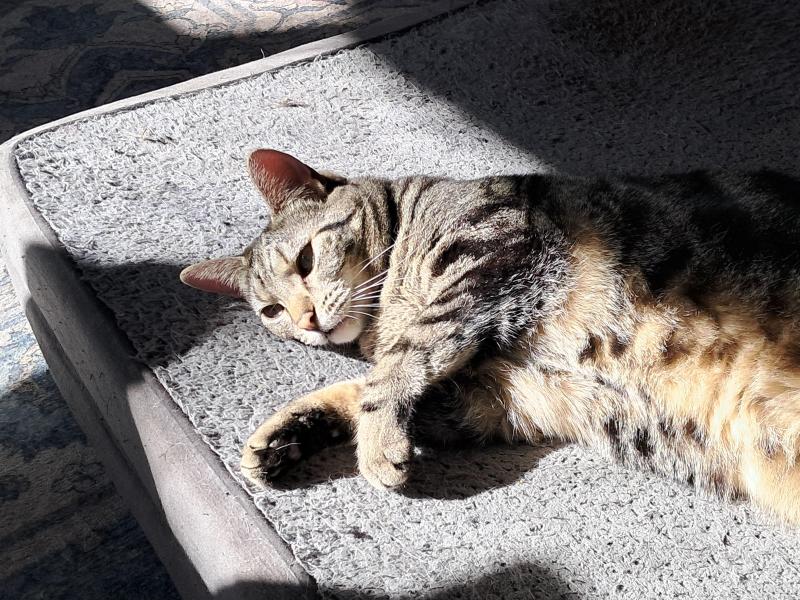 TuckersMom uploaded   11  day/s  ago