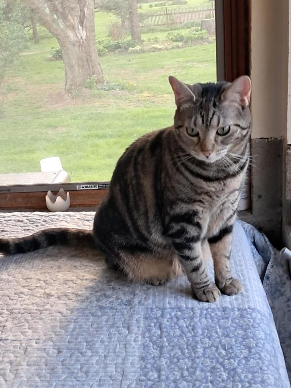 Gabby of the TuckersMom family