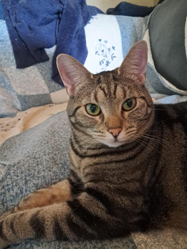 Gabby of the TuckersMom family