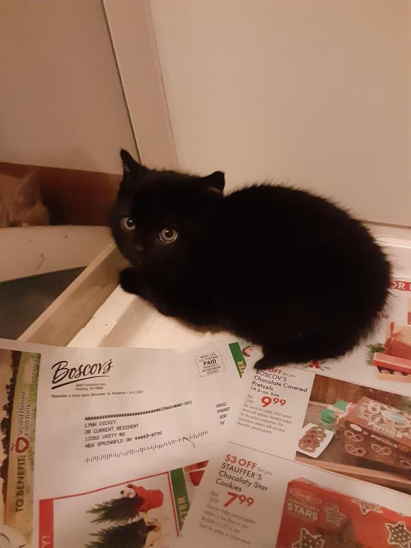 TuckersMom uploaded   358  day/s  ago