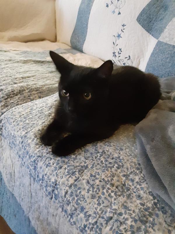 Brody of the TuckersMom family