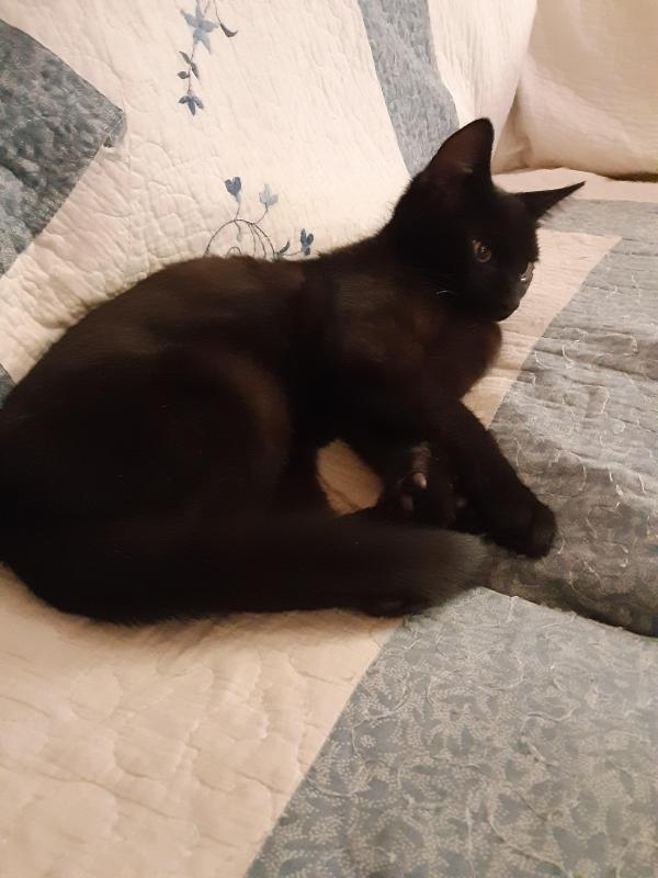 TuckersMom uploaded   358  day/s  ago