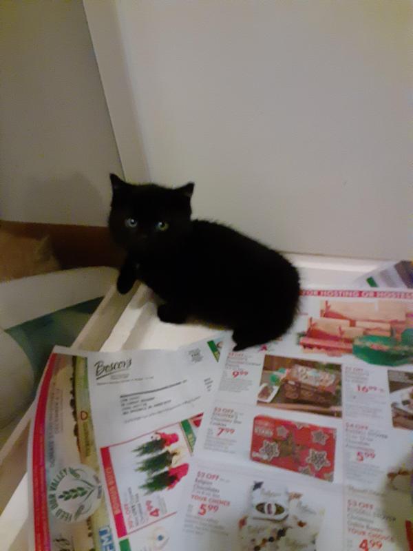 TuckersMom uploaded   358  day/s  ago