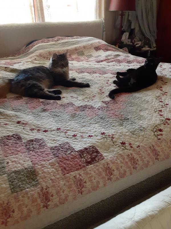 TuckersMom uploaded   358  day/s  ago