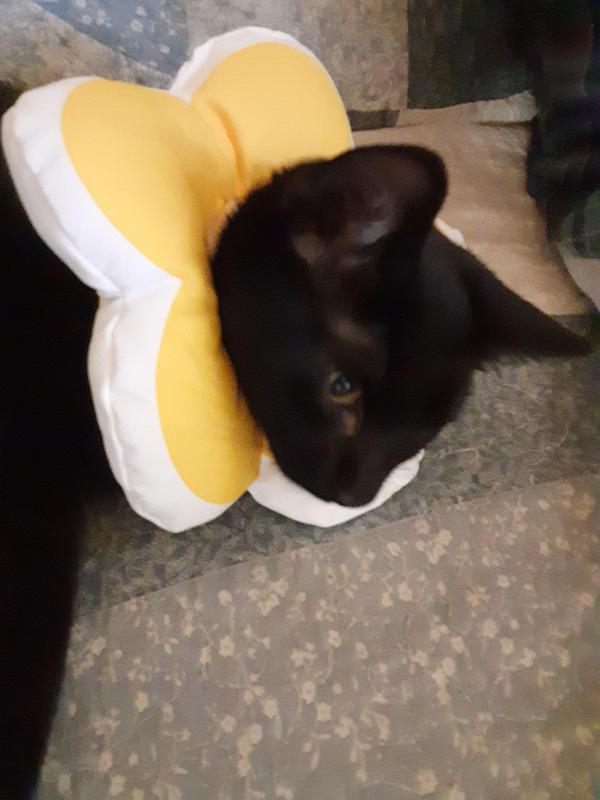 TuckersMom uploaded   357  day/s  ago