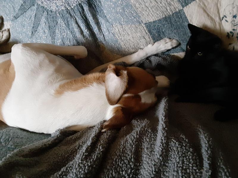 TuckersMom uploaded   358  day/s  ago