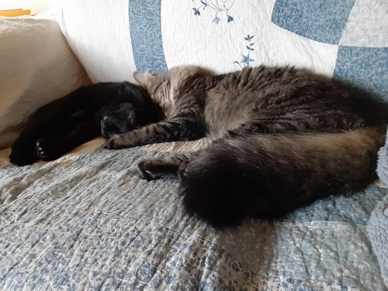 TuckersMom uploaded   357  day/s  ago