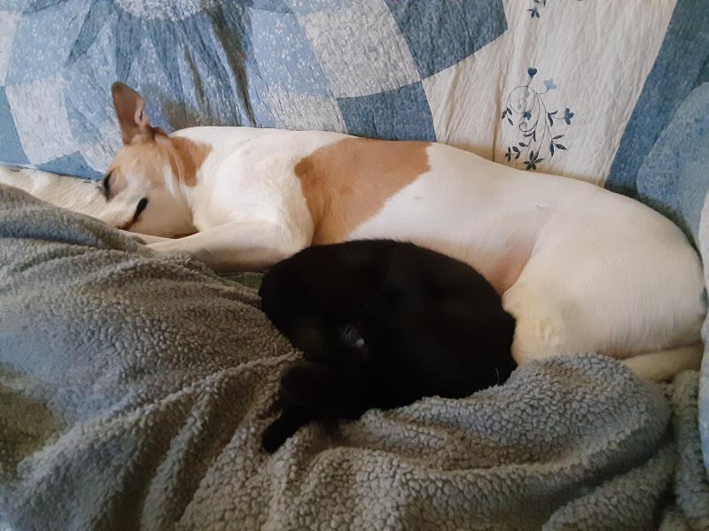 TuckersMom uploaded   358  day/s  ago