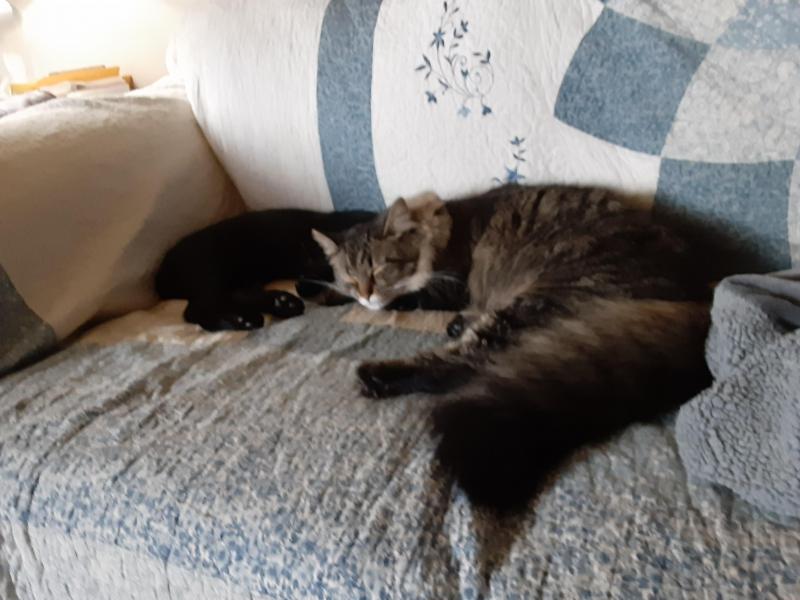 TuckersMom uploaded   357  day/s  ago