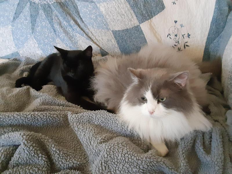 TuckersMom uploaded   358  day/s  ago