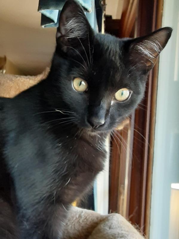 TuckersMom uploaded   280  day/s  ago